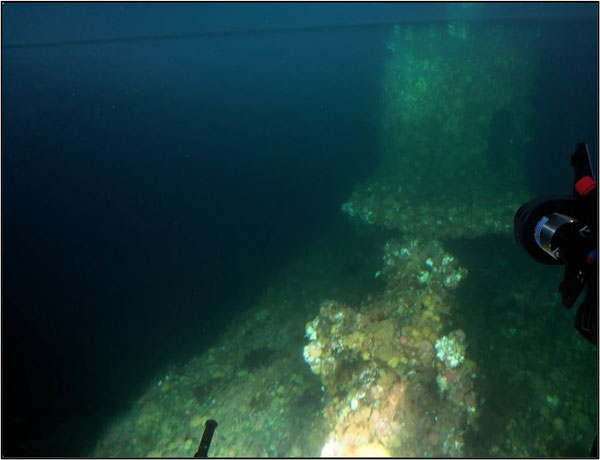 USS Herring wreck, picture 1