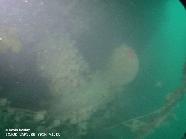 USS Perch - Propeller