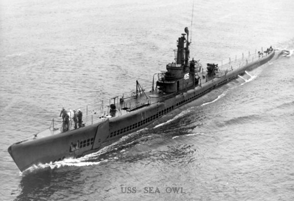 USS Sea Owl